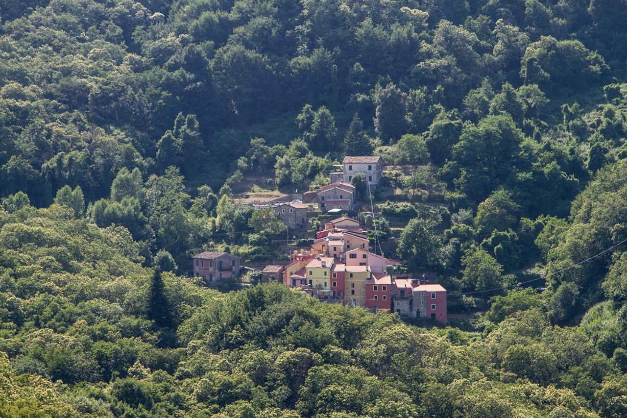 Borgo Di Codeglia - Country Rooms Riccò del Golfo di Spezia Eksteriør billede