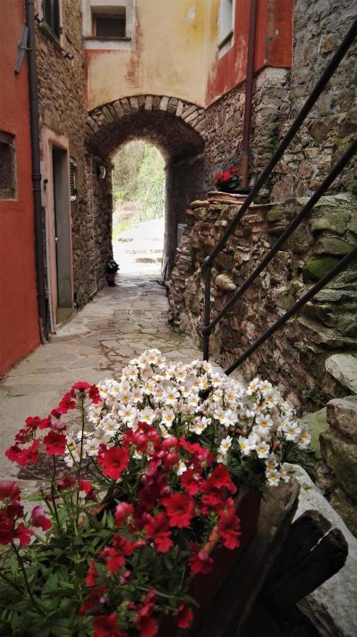 Borgo Di Codeglia - Country Rooms Riccò del Golfo di Spezia Eksteriør billede