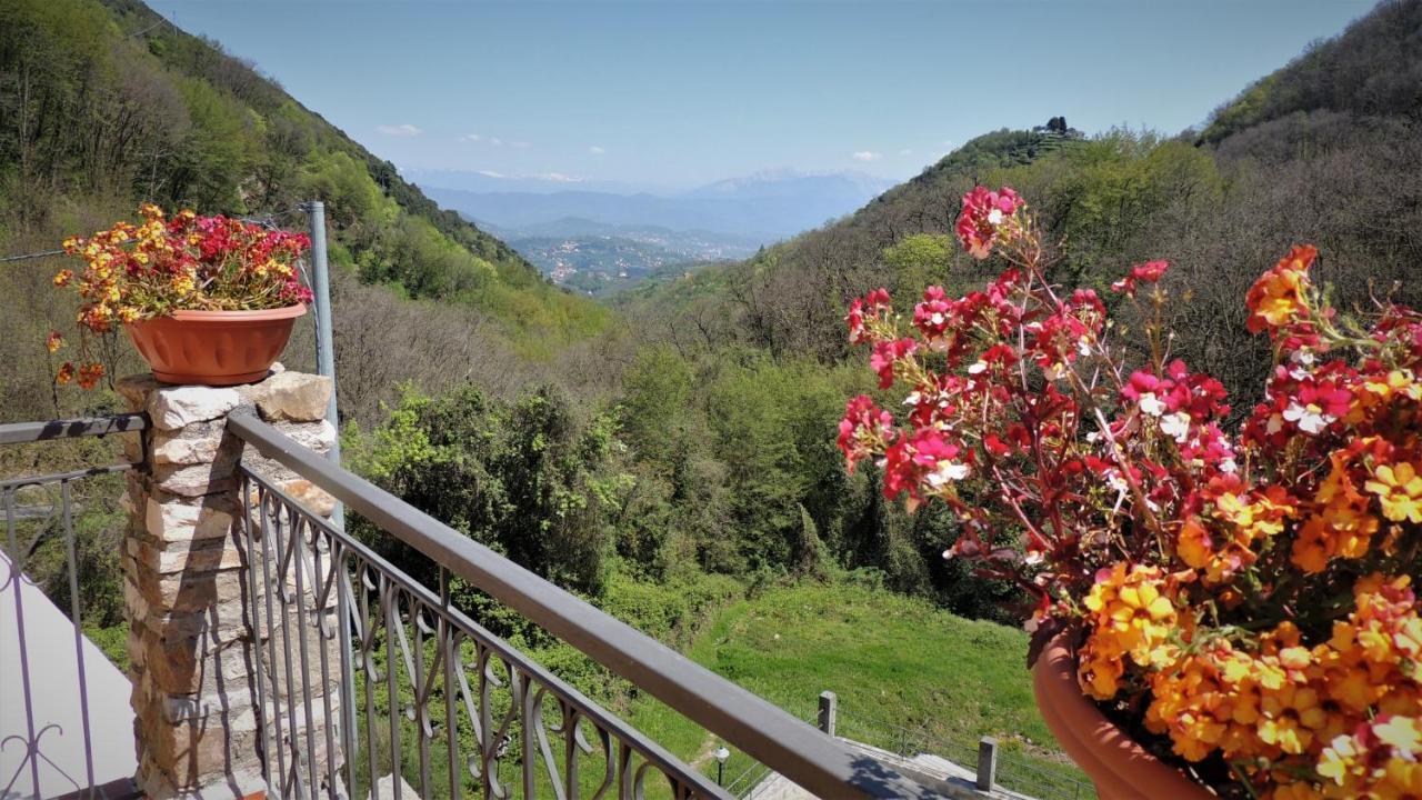Borgo Di Codeglia - Country Rooms Riccò del Golfo di Spezia Eksteriør billede